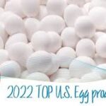 Musk urged to step down from DOGE as Tesla collapses