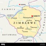 Trump’s tariffs trigger boycott of American products