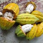 African Development Bank to invest $500 million in new air Ethiopia