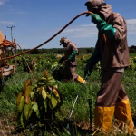 How to strengthen West Africa’s security against terrorism, violent extremism